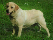 sunnie1crop.jpg